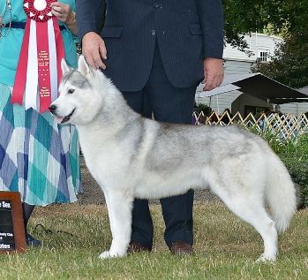 Photo of Kczar’s Code Talker at Tobotuk