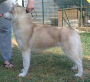 Photo of Kivalina’s Little Miss Sunshine