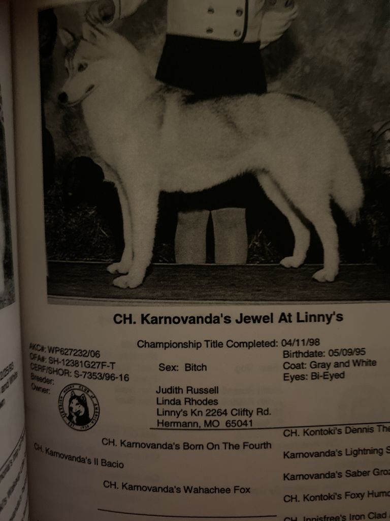 Photo of Karnovanda’s Jewel At Linny’s