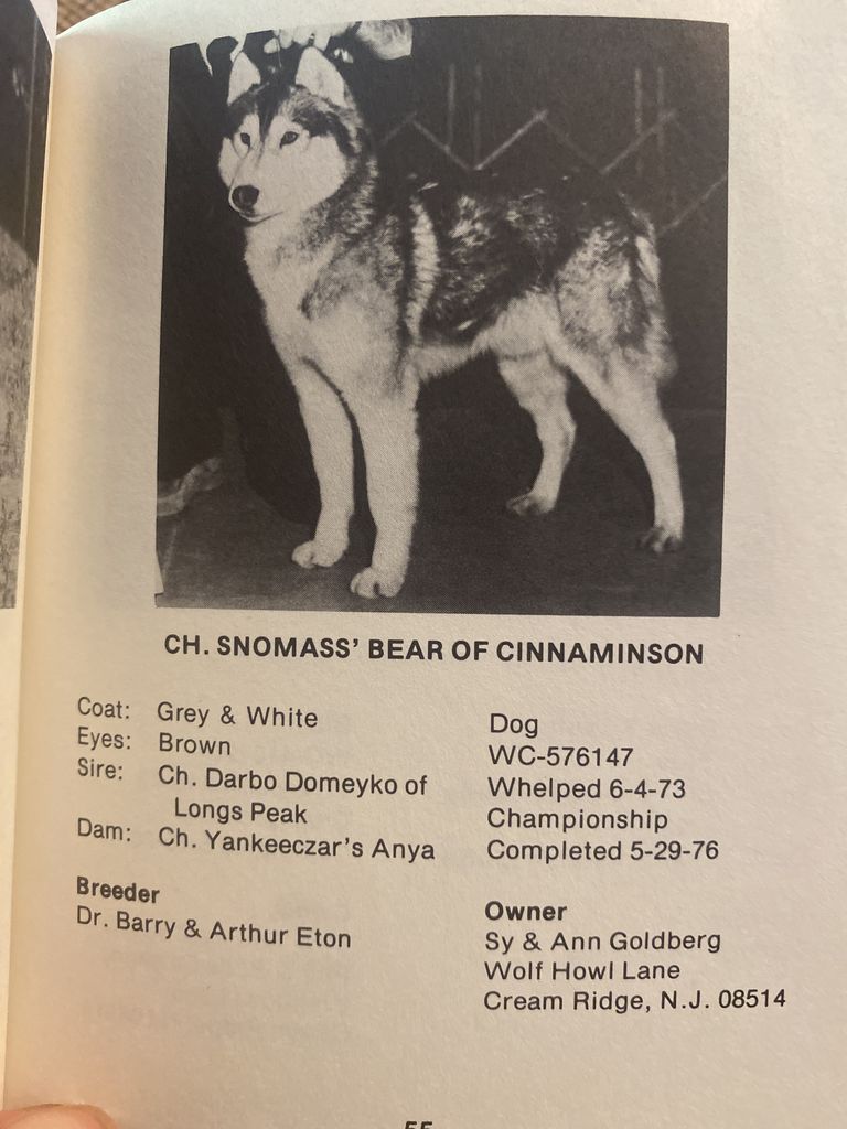 Photo of Snomass’ Bear Of Cinnaminson