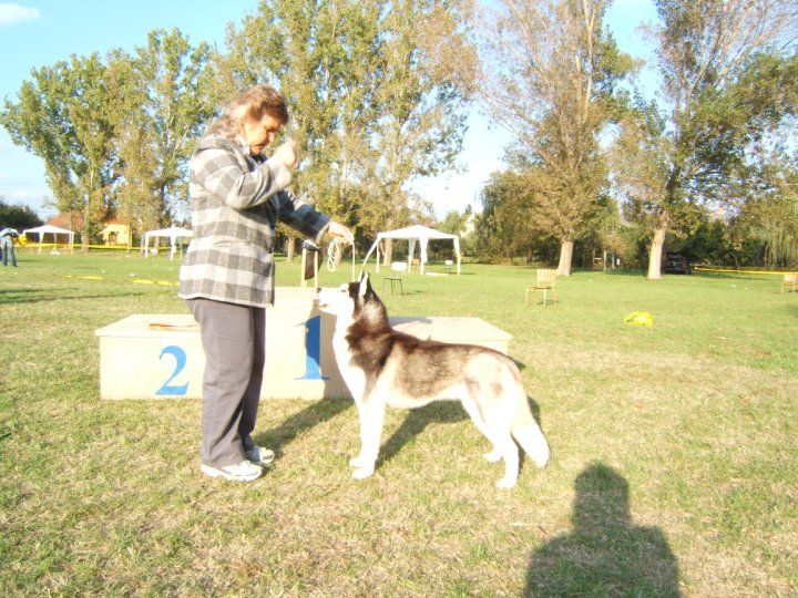 Photo of Felicity Of Siberian Lady