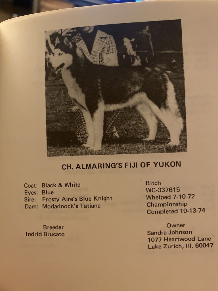 Photo of Almaring’s Fiji Of Yukon