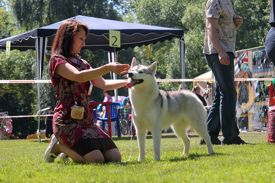 Photo of Siberian Miracle Excellence