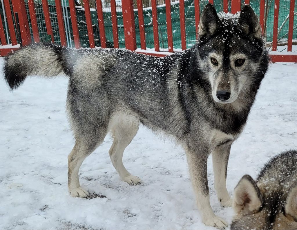 Photo of Zorba N Taja Into the Woods