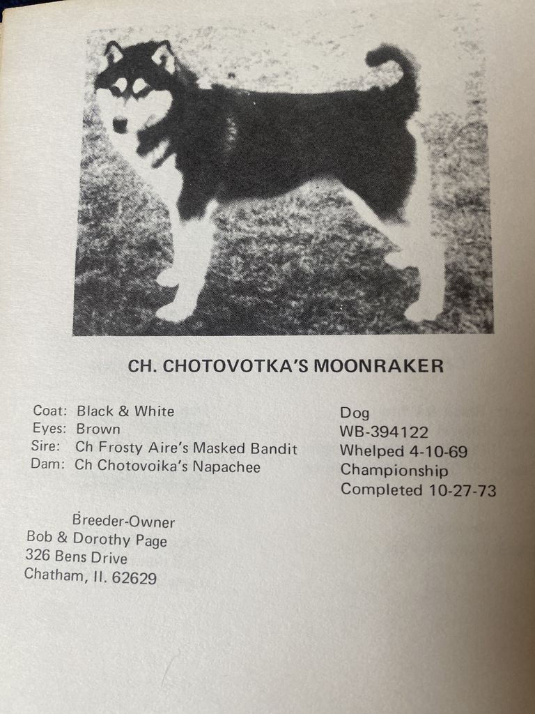 Photo of Chotovotka’s Moonraker