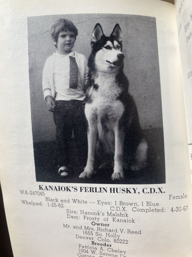 Photo of Kanaiok’s Ferlin Husky