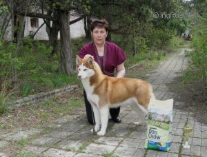 Photo of O'ross Yasno Solnishko-2