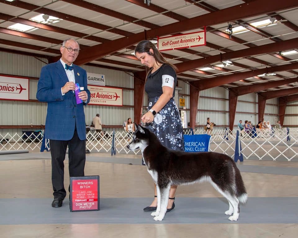 Photo of Olgivan Show Glitterbomb