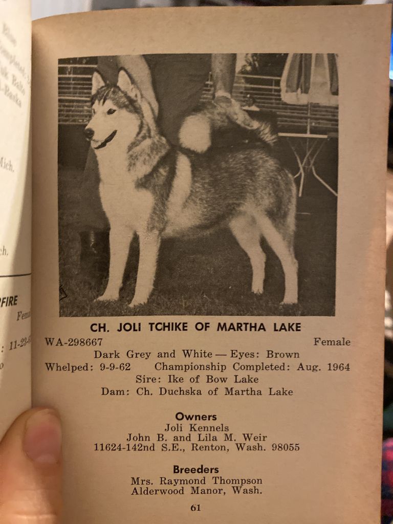 Photo of Joli Tchike Of Martha Lake