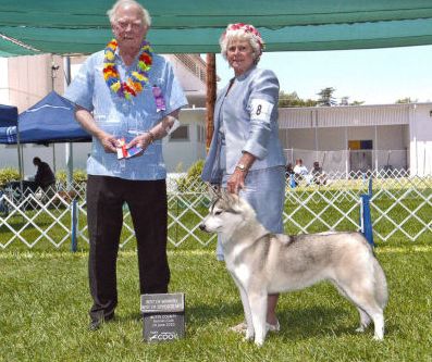 Photo of Husker Du Sierra Wild Fire