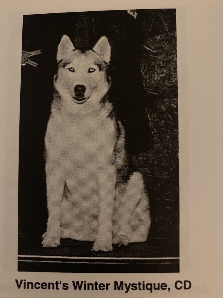 Photo of Vincent’s Winter Mystique