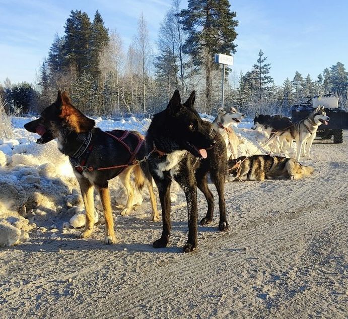Photo of Nozdormu