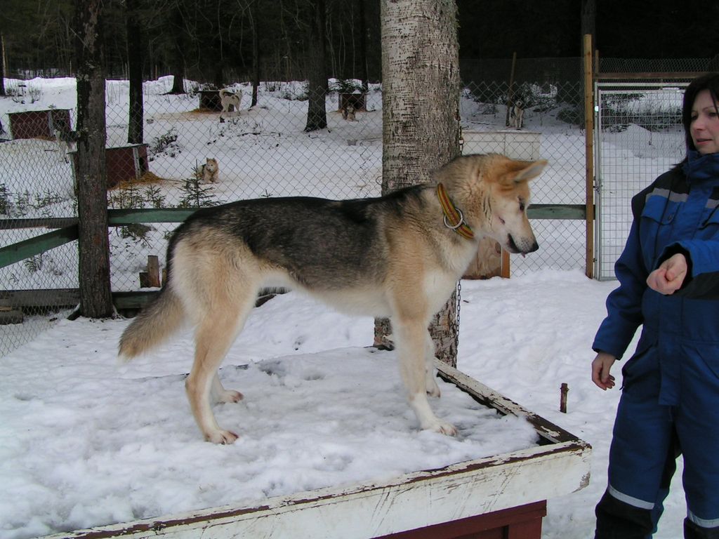 Photo of Arktisk Storm Stacy