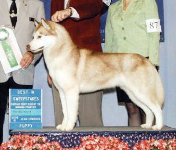 Photo of Huskavarna’s As Good As It Gets