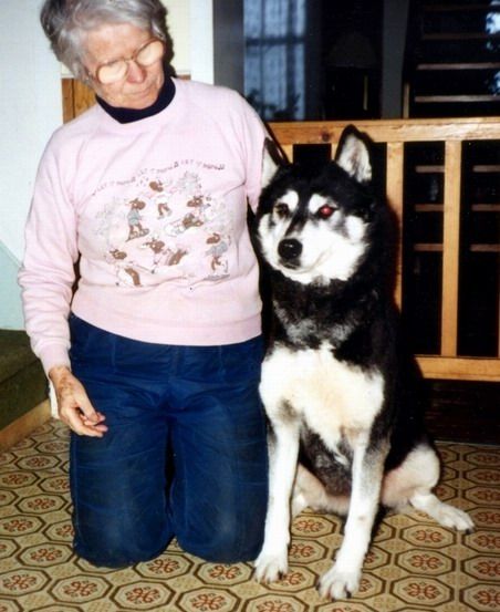 Photo of Kimlan’s Kiana Belle