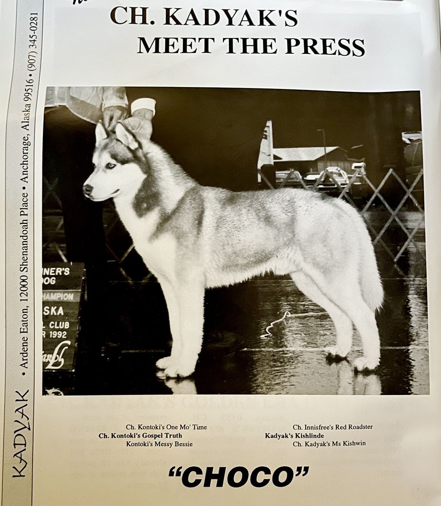 Photo of Kadyak’s Meet The Press