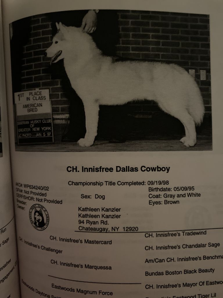 Photo of Innisfree Dallas Cowboy