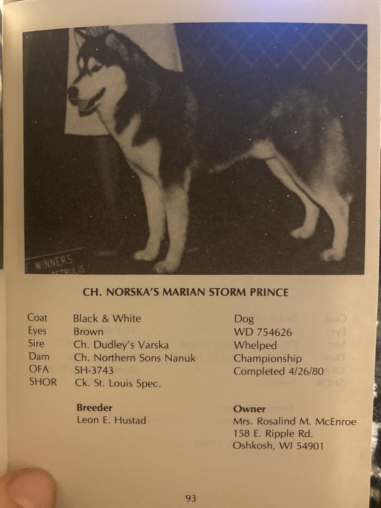 Photo of Norska’s Ma-Ri-An Storm Prince