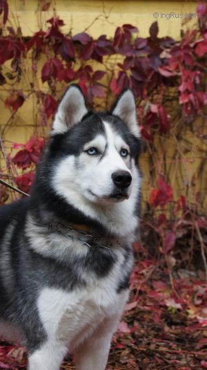 Photo of Ares Is The First Winner