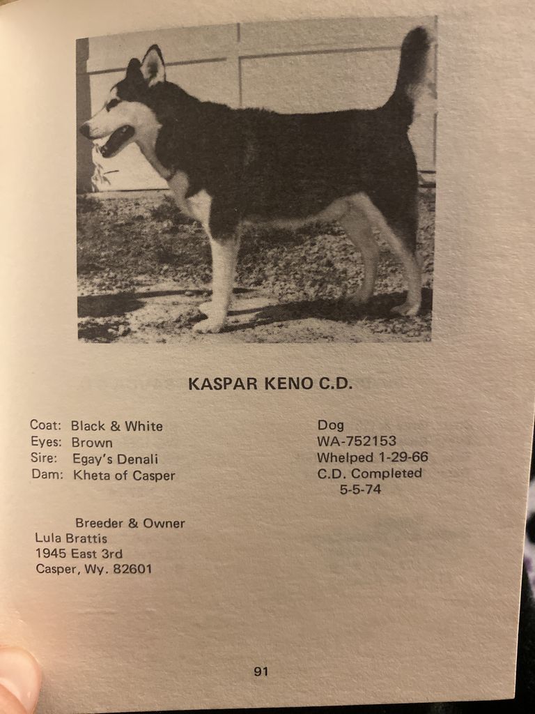 Photo of Kaspar Keno