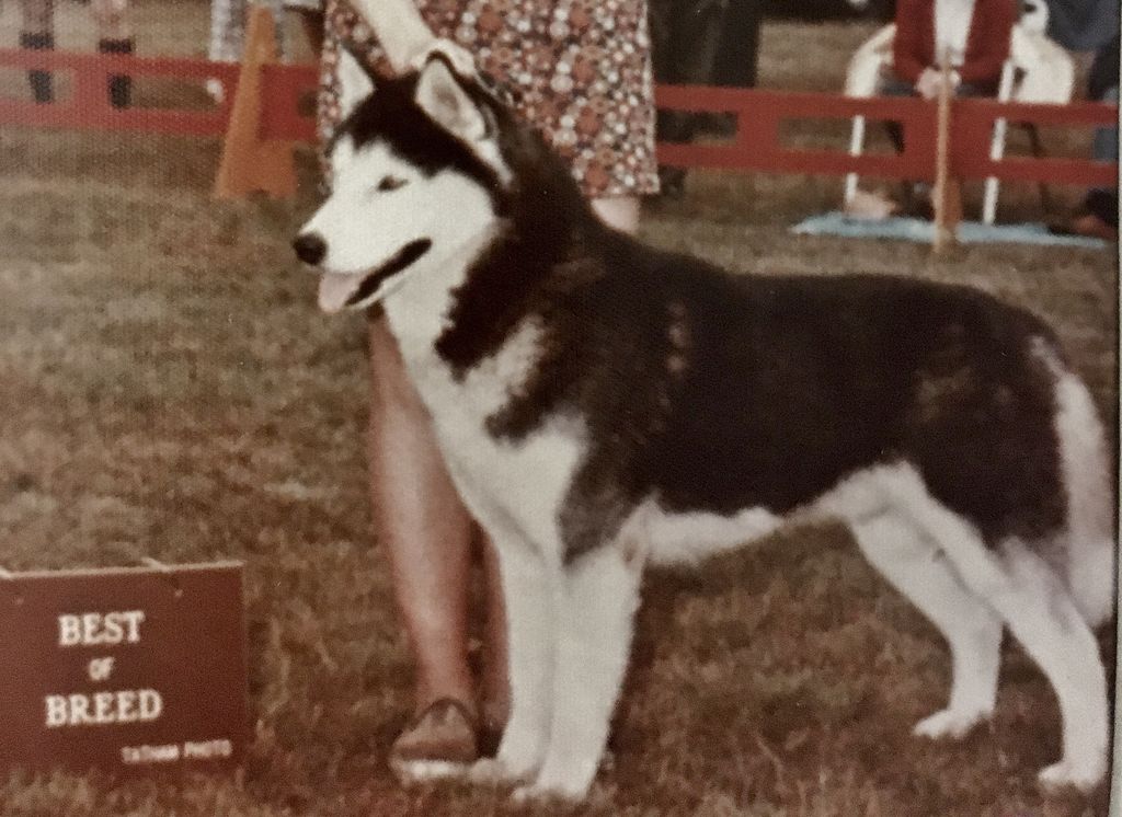 Photo of Corrak Of Tawny Hill