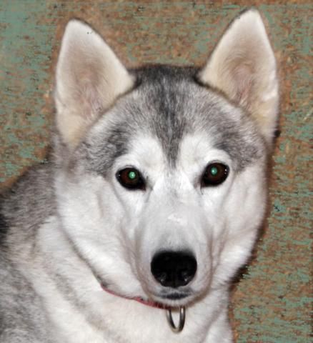 Photo of Vento Libero Iblasta