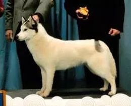 Photo of Apache Run’s Eskimo Pie