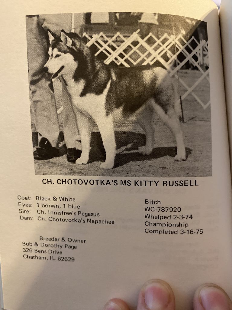 Photo of Chotovotka’s Ms Kitty Russell