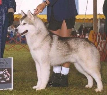 Photo of Rockland’s Starr Performer