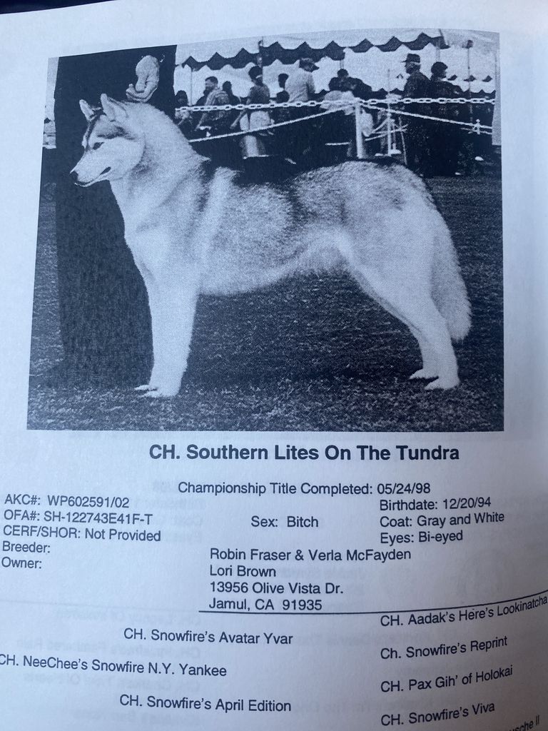 Photo of Southern Lites On The Tundra