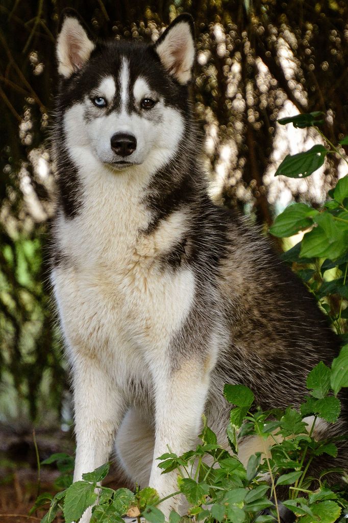 Photo of Gracia Of Kahnawake