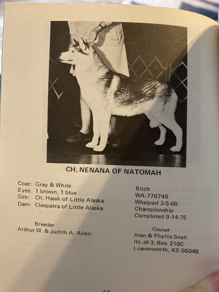 Photo of Nenana of Natomah
