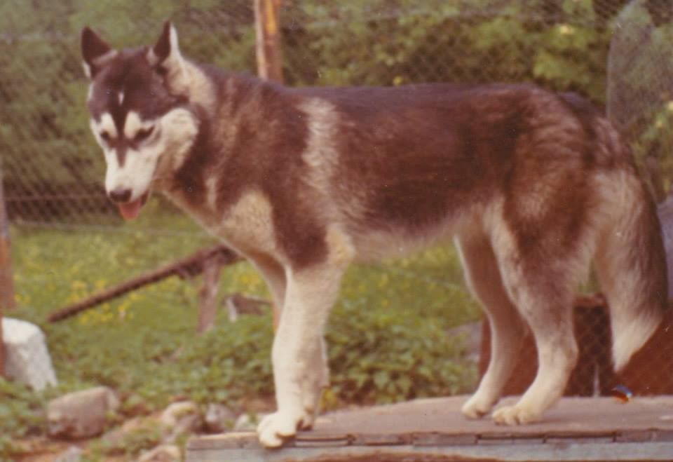Photo of Narajak (Kree Vanka)