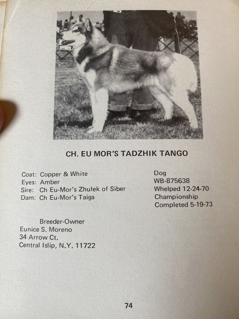 Photo of Eu Mor’s Tadzhik Tango