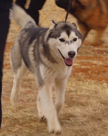 Photo of FullMoon's KodaChrome At Apache Run