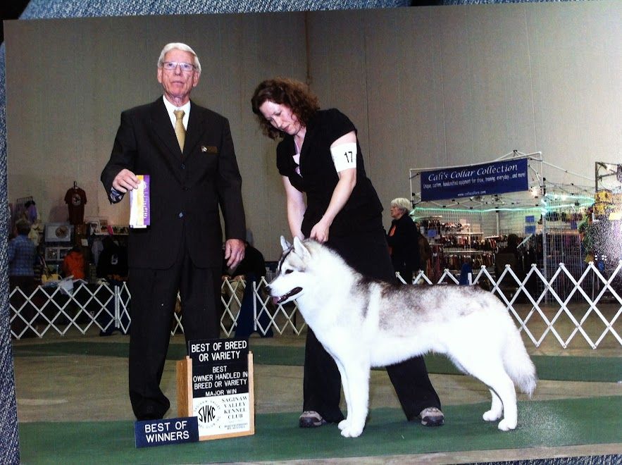 Photo of Sstar’s Texas Hold-em