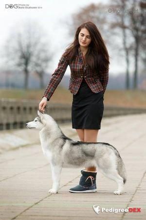 Photo of Pakira Stars Imina Krasa