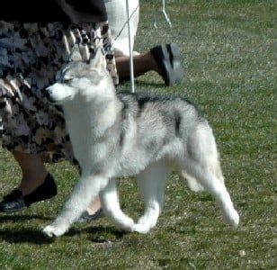 Photo of Kaliya’s Glad All Over