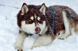 Photo of Ralf