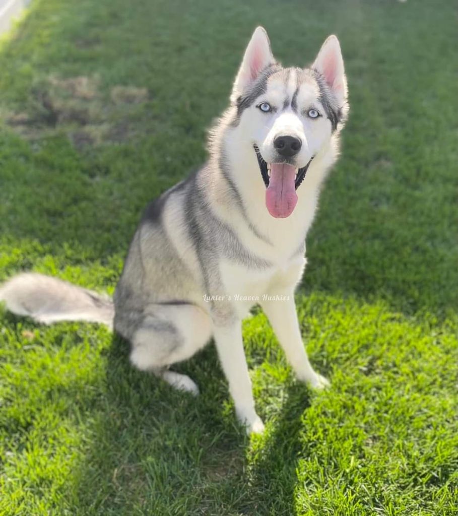 Photo of Apollo Aleksandr Maldonado Finnemore