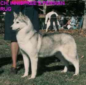 Photo of Innisfree’s Persian Rug