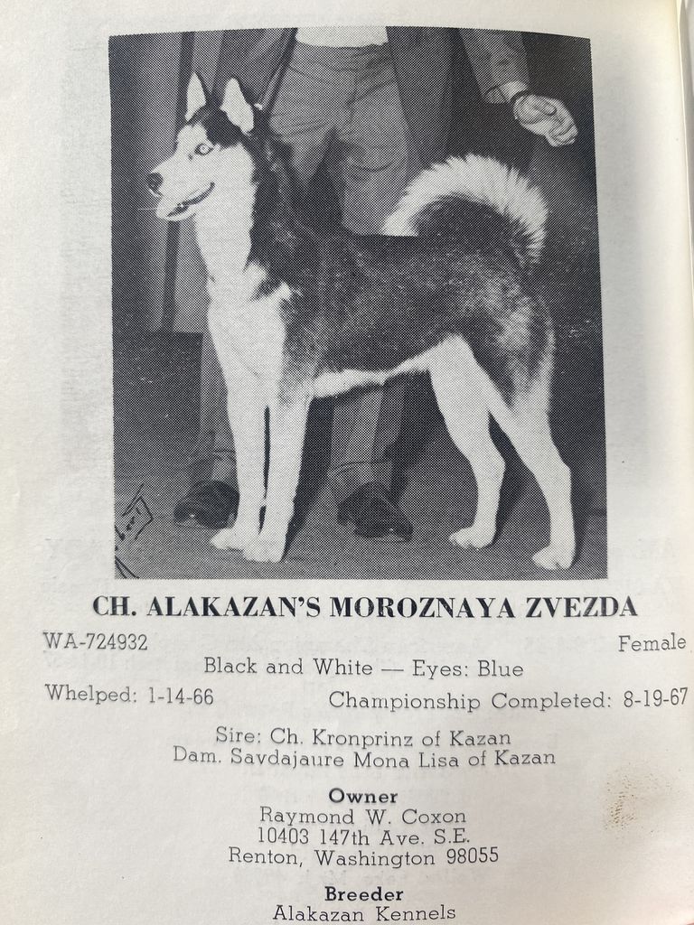 Photo of Alakazan’s Moroznaya Zvezda
