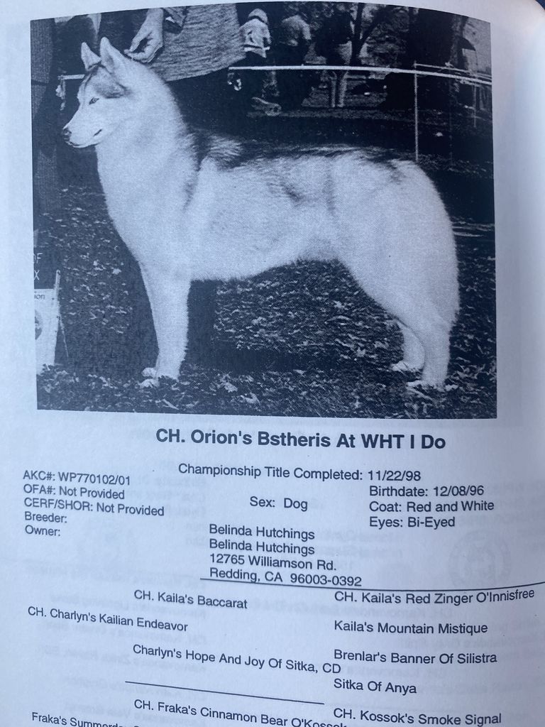 Photo of Orion’s Bstheris At Wht I Do