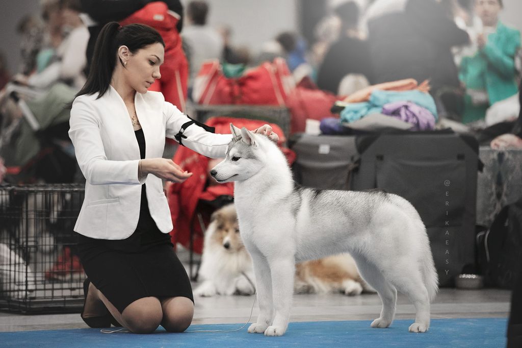 Photo of OlgiVan Show Haru