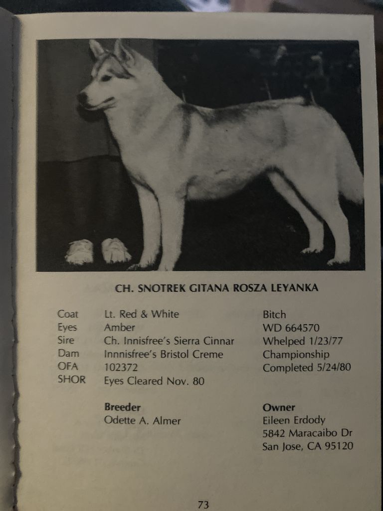 Photo of Snotrek Gitana Rosza Leyanka
