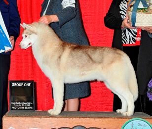 Photo of Wolvereen DownTheHillToSyntari