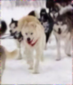 Photo of Kannook Taki