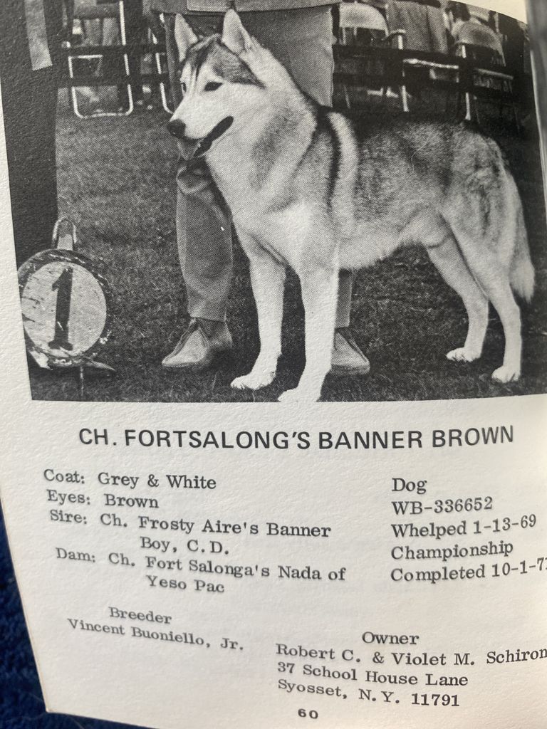 Photo of Fortsalong’s Banner Brown