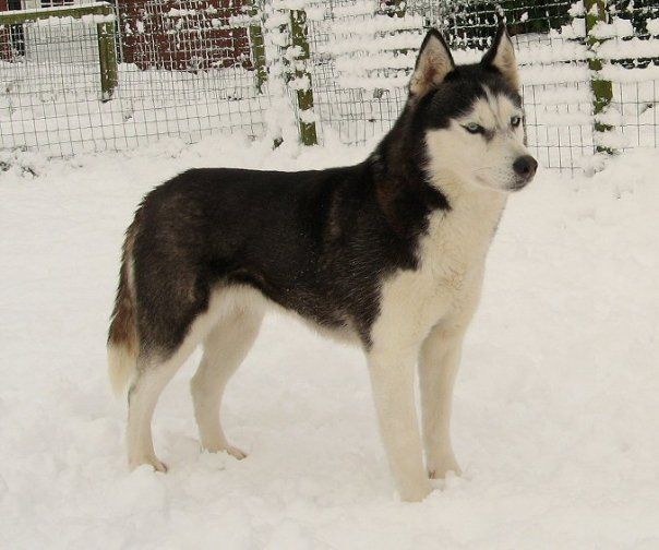 Photo of Taysa’s Kah-Liina-Too