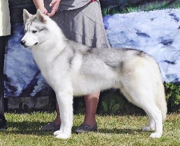 Photo of Karamad And Poku’s Naturally Blue